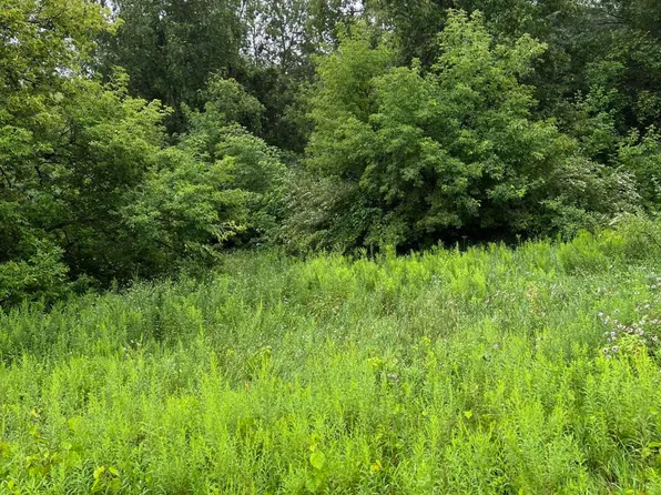 V/l East St #104, Howard City, MI 49329
