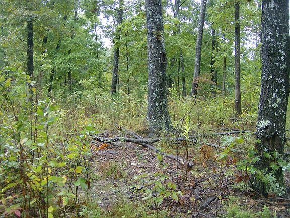 3rd image of 117 Black Oak Ln