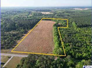 Mineral Springs St, Lamar, SC 29069