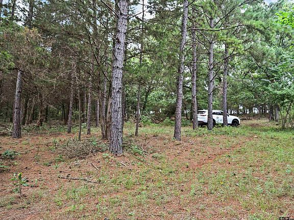 2nd image of County Road 413 5/acres Tract 3