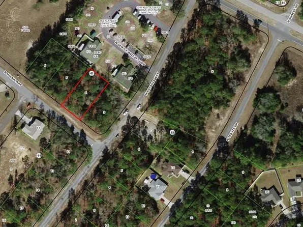 9339 N Milam Way Lot 4, Dunnellon, FL 34434