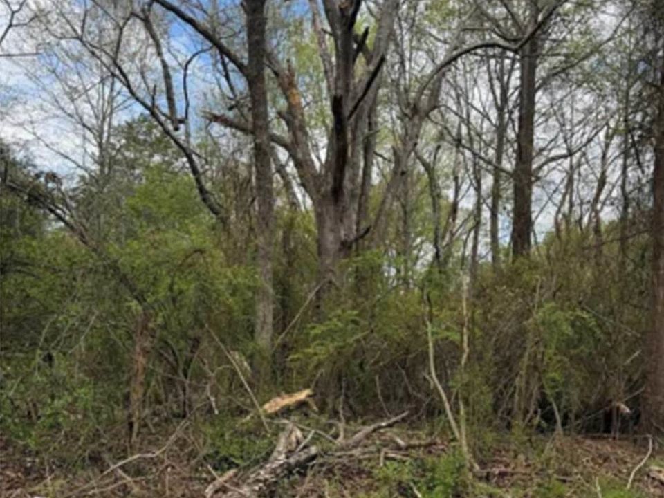 1st image of Augusta Rd