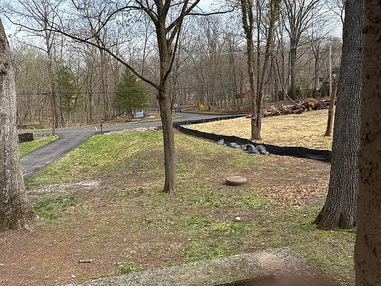 Windy Bush Rd — Photo 3