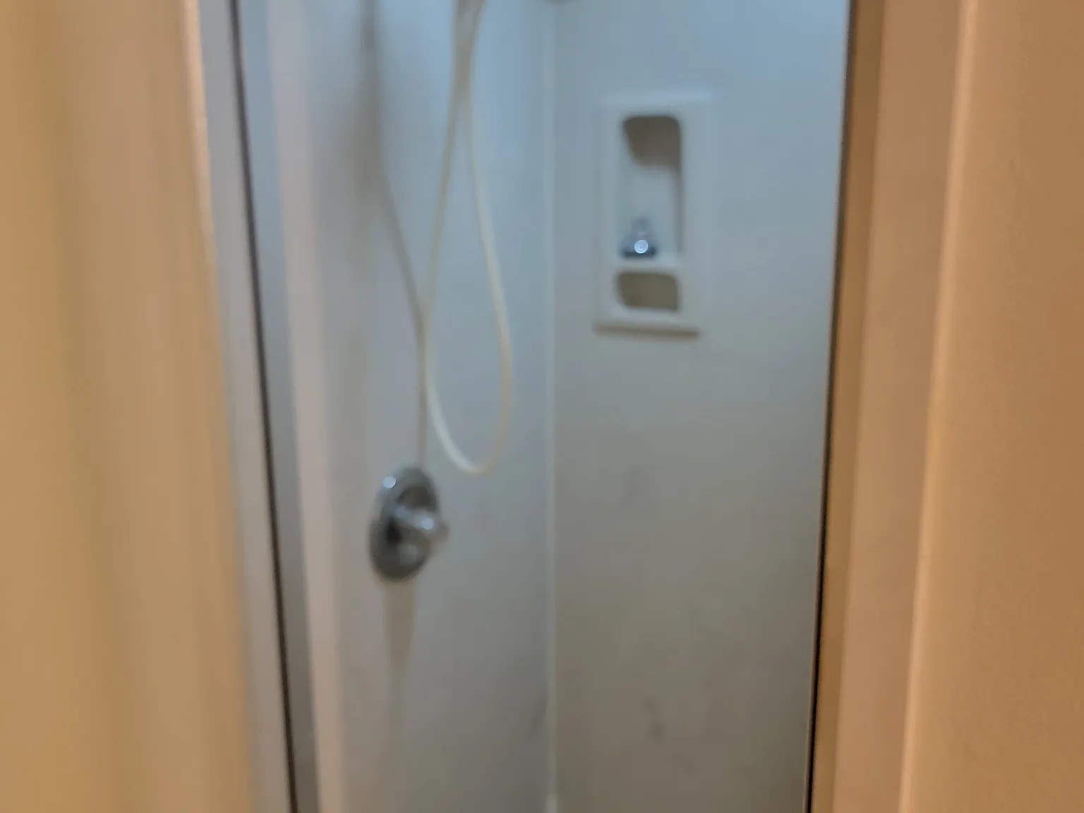 4 bed, 1500 sqft, $1,600 — Photo 3