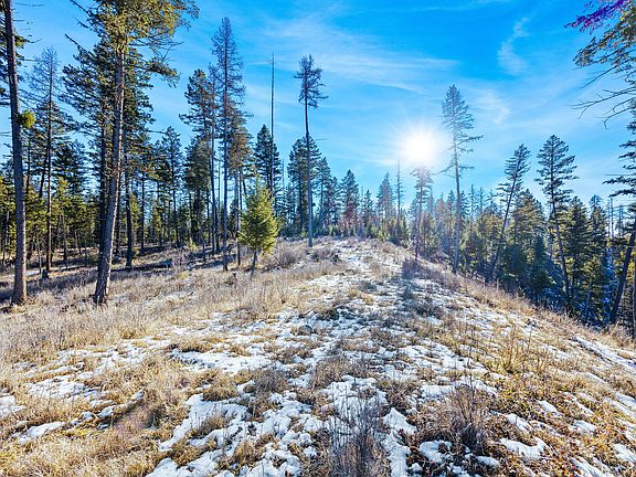 5th image of Nhn N Dayton Creek Rd Lot 8