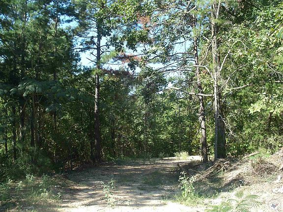 4th image of 186 Lindsey Ln
