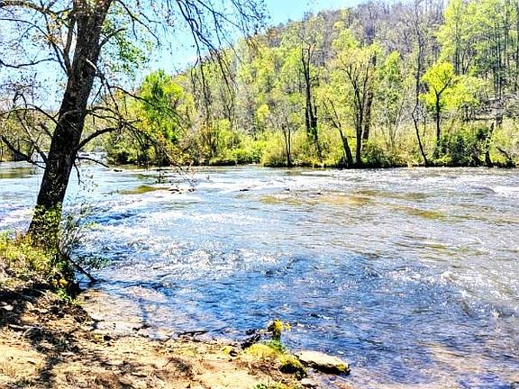3rd image of 10 Rio Bravo Dr