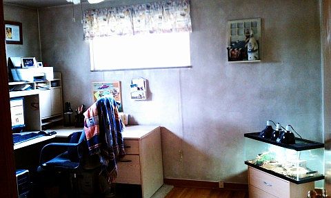 1st floor bedroom or office