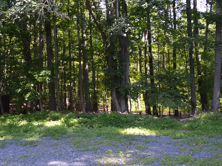 14 Homestead Ln #14 — Photo 19