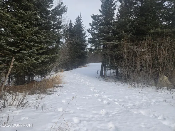 34435 Sterling Hwy, Anchor Point, AK 99556