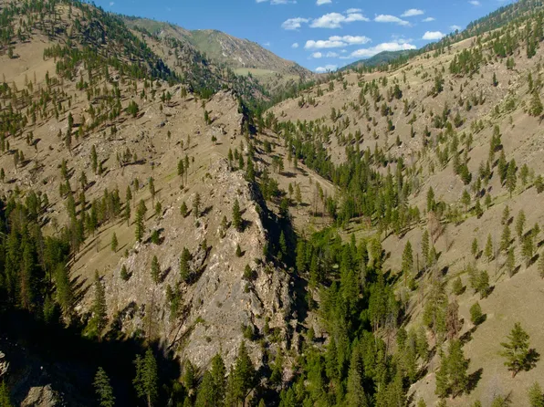 Owl Creek Ln, Shoup, ID 83469