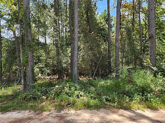 3rd image of LOT 7 Coral Bean Ln