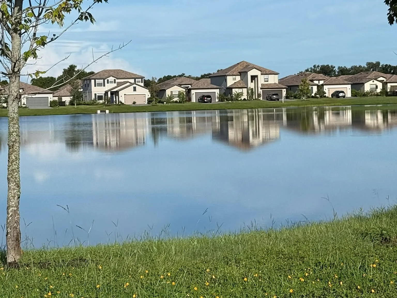 4 bed, 2032 sqft, $6,500 — Photo 3