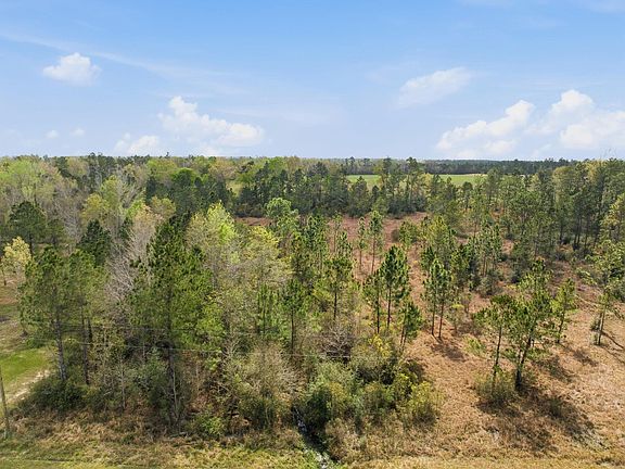 5th image of 0 L A McFatter Rd