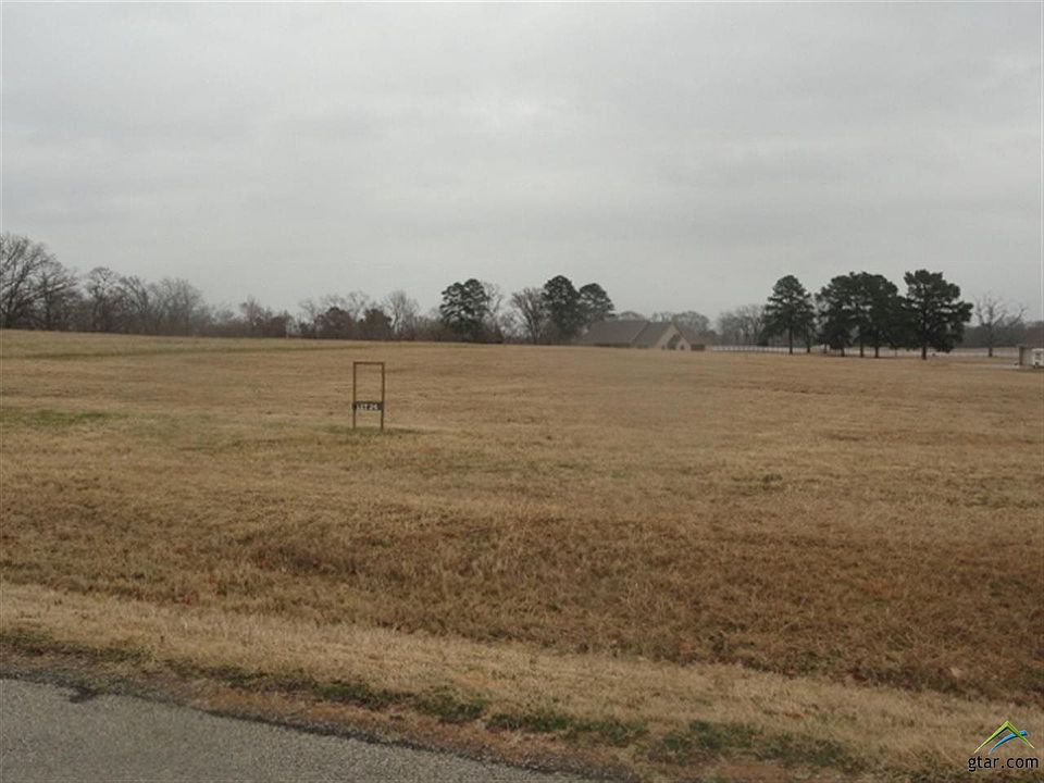 2nd image of LOT 24 County Road 1431