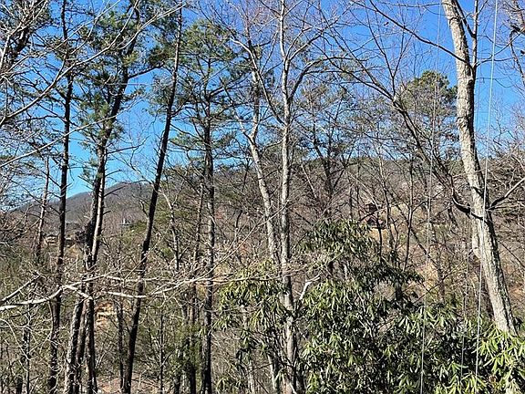 5th image of 3940 Lucerne Way Lot 39-40