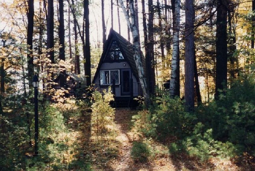 View from lake, Fall