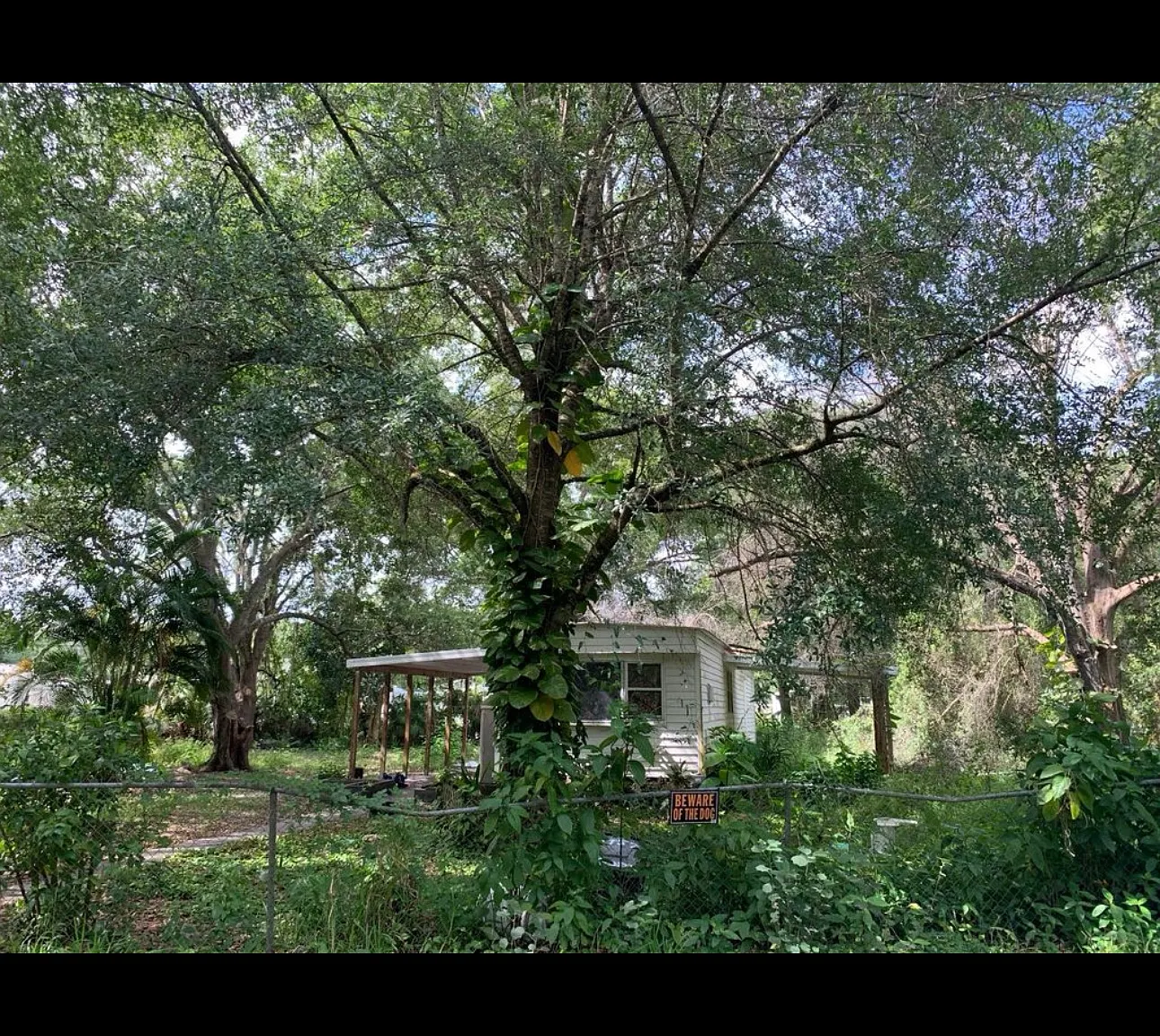 2 bed, 47 sqft, $1,300 — Photo 2
