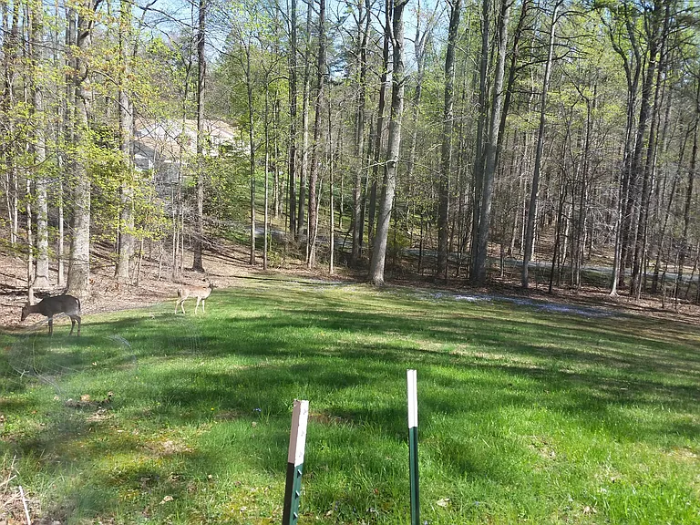 11506 Club Ct — Photo 7