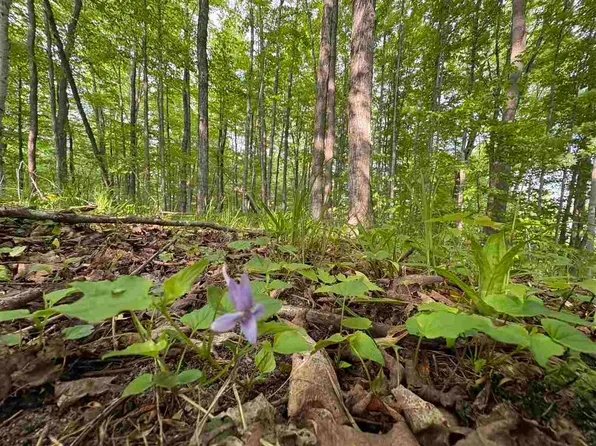 Erie St Parcel C, East Jordan, MI 49727