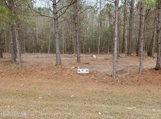 80 Eagle Trace Dr, Blounts Creek, NC 27814