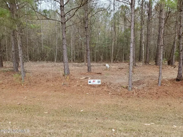 Lot 80 Eagle Trace Drive, Blounts Creek, NC 27814