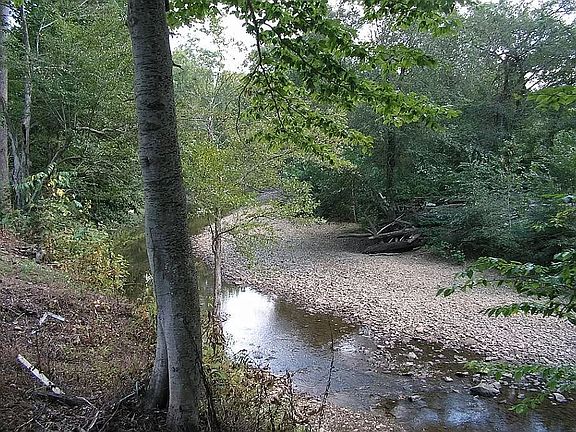 4th image of 691 Water Birch Rd