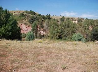6141 Falcon Ln, Morrison, CO 80465