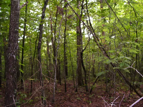 Fallen Timber Ln, Monterey, TN 38574