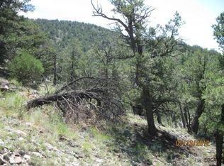 Tbd H Path, Cotopaxi, CO 81223