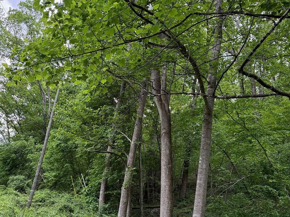 2nd image of Long Point Ln
