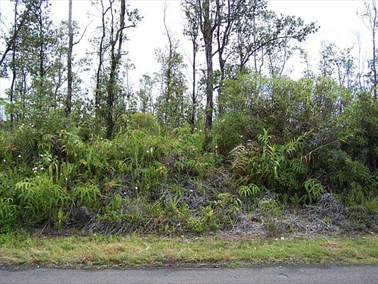 1st image of Aulii St Lot 3