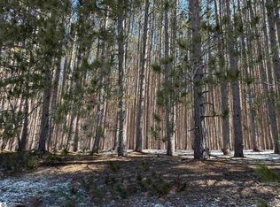 Wheeler Lake Rd NE, Kalkaska, MI 49646