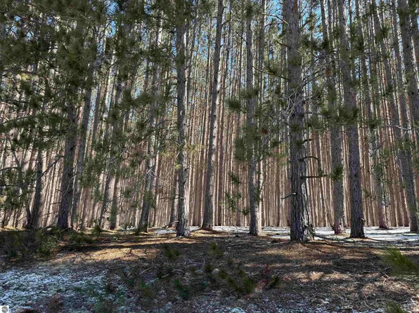 Wheeler Lake Rd NE, Kalkaska, MI 49646