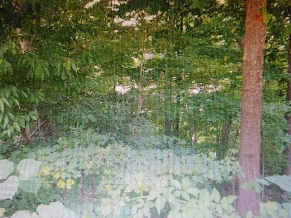 5th image of 10372 Eastchurch