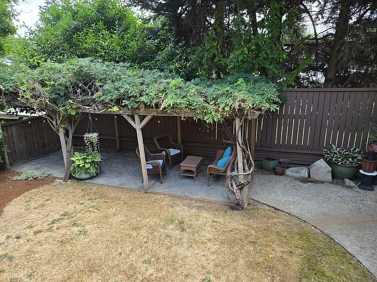 Lower level of the yard. This Pergola is a beloved garden feature, estalished over decades. Wisteria and grapevines weave throughout. In the summer raccon kits climb overhead and steal all the grapes.