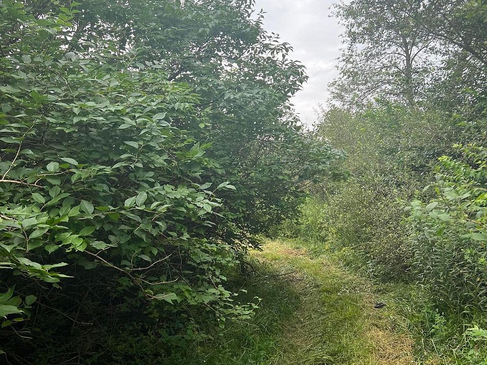 2nd image of 0 State Highway 323