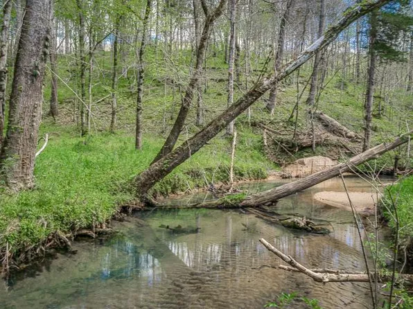 Mack Floyd Rd, Sparta, TN 38583