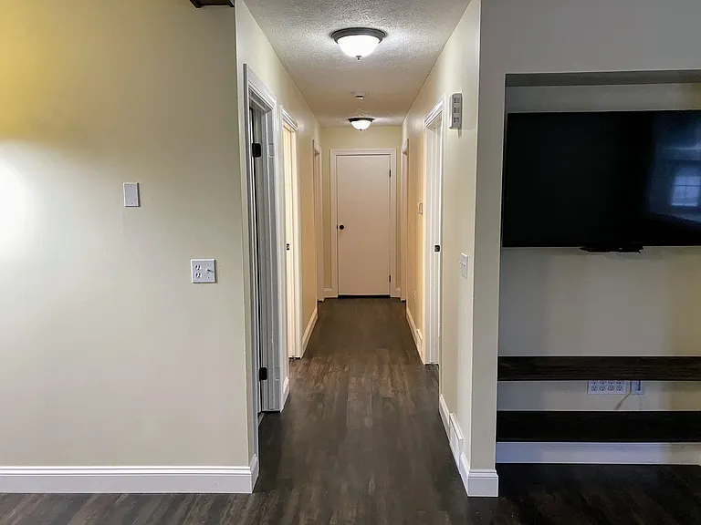 The Hallway with a closet at the end.
