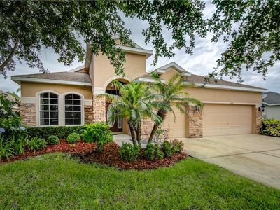 16421 Bridgewalk Dr, Lithia, FL, 33547