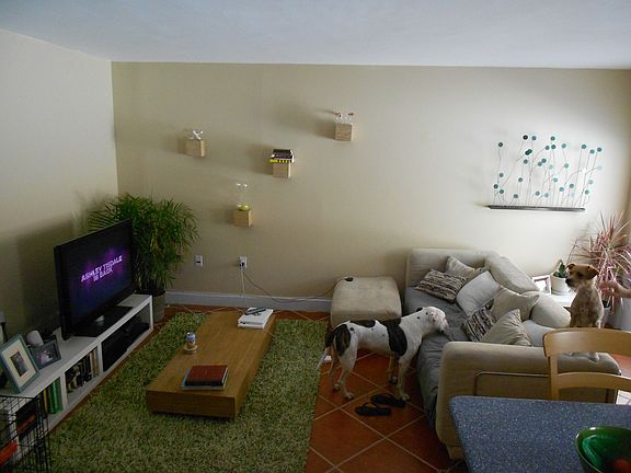 4th image of 1545 Euclid Ave APT 2J