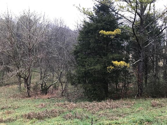 3rd image of 0 Hodges Ferry Rd Lot 20