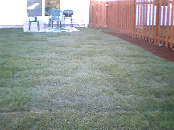 2nd image of 19119 97th Avenue Ct E