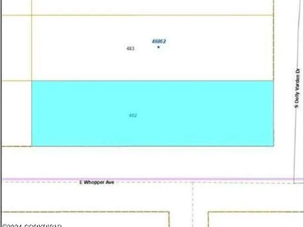 L482 E Caswell Lakes Rd, Willow, AK 99688