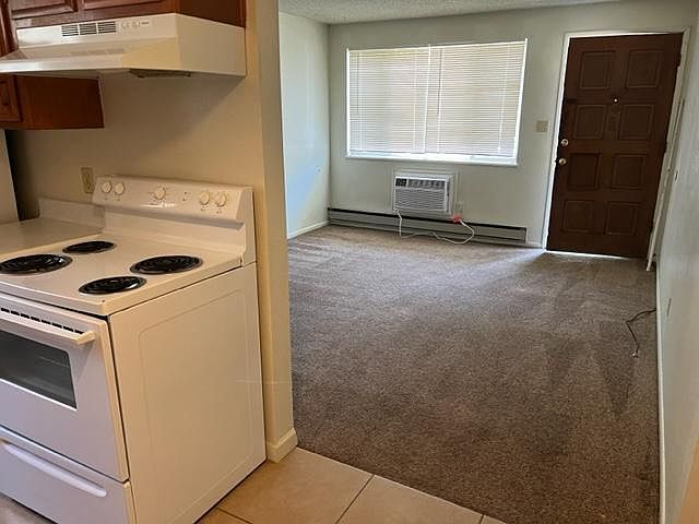 2nd image of 601 S Division St APT 1