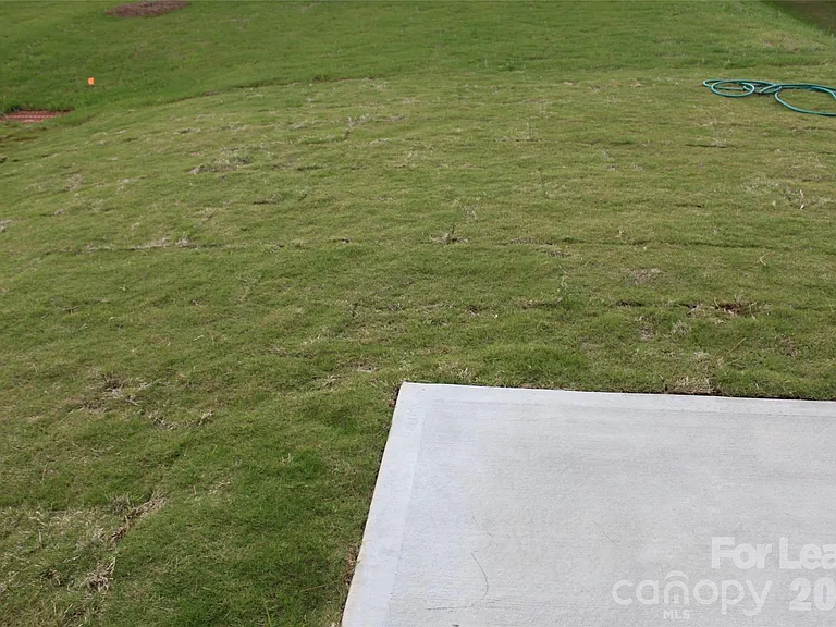12008 Virginia Pine Ln — Photo 23