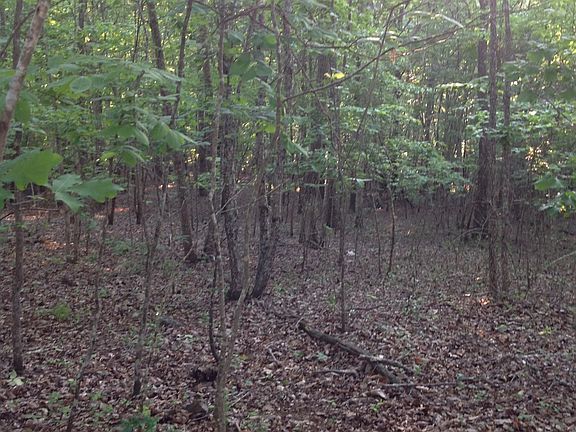 Levels off on rear property