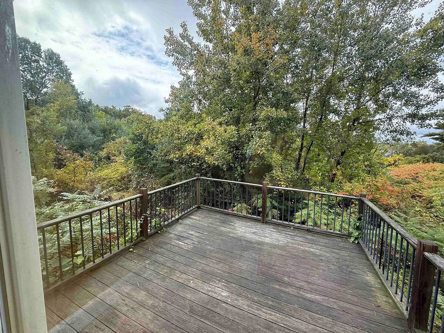 3 bed, 1.0 bath, 1000 sqft, $2,900 — Photo 3