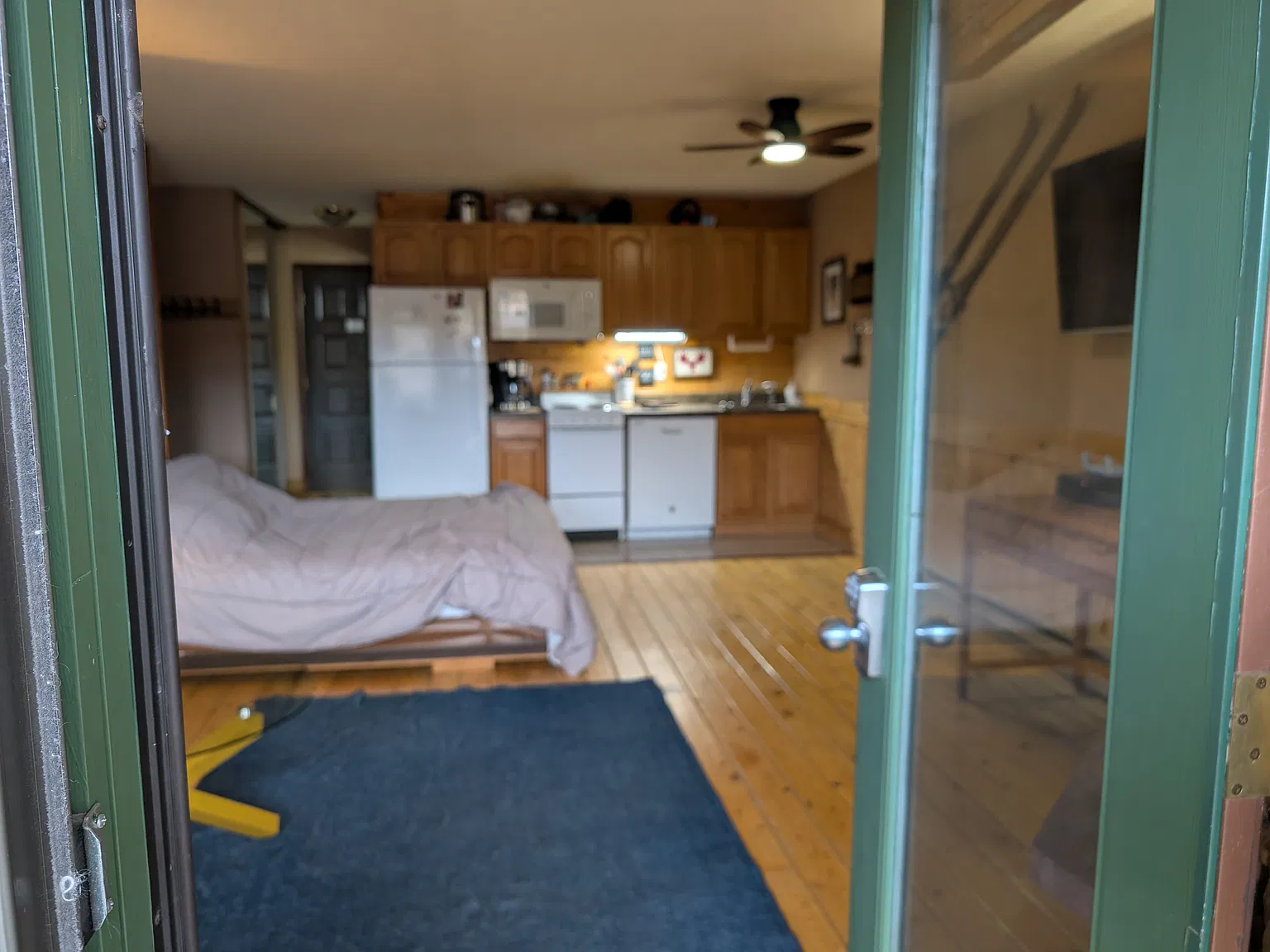 Studio, 405 sqft, $1,700 — Photo 2