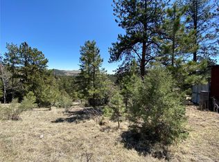 517 Juniper Ln, Bailey, CO 80421